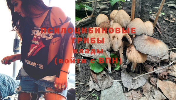 а пвп мука Магадан