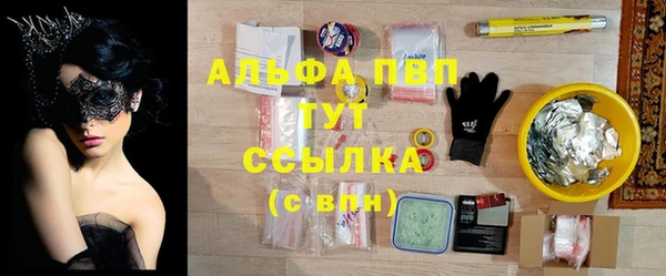 PSILOCYBIN Магас